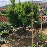 Martina 2 Primošten
