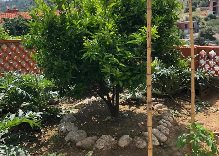 Martina 2 Primošten